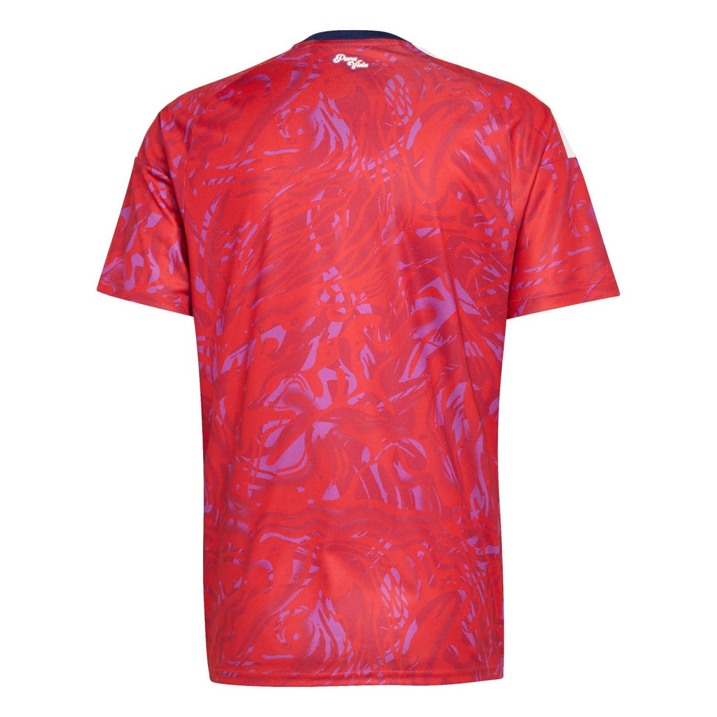 Camisa Costa Rica Home 2026 - Torcedor