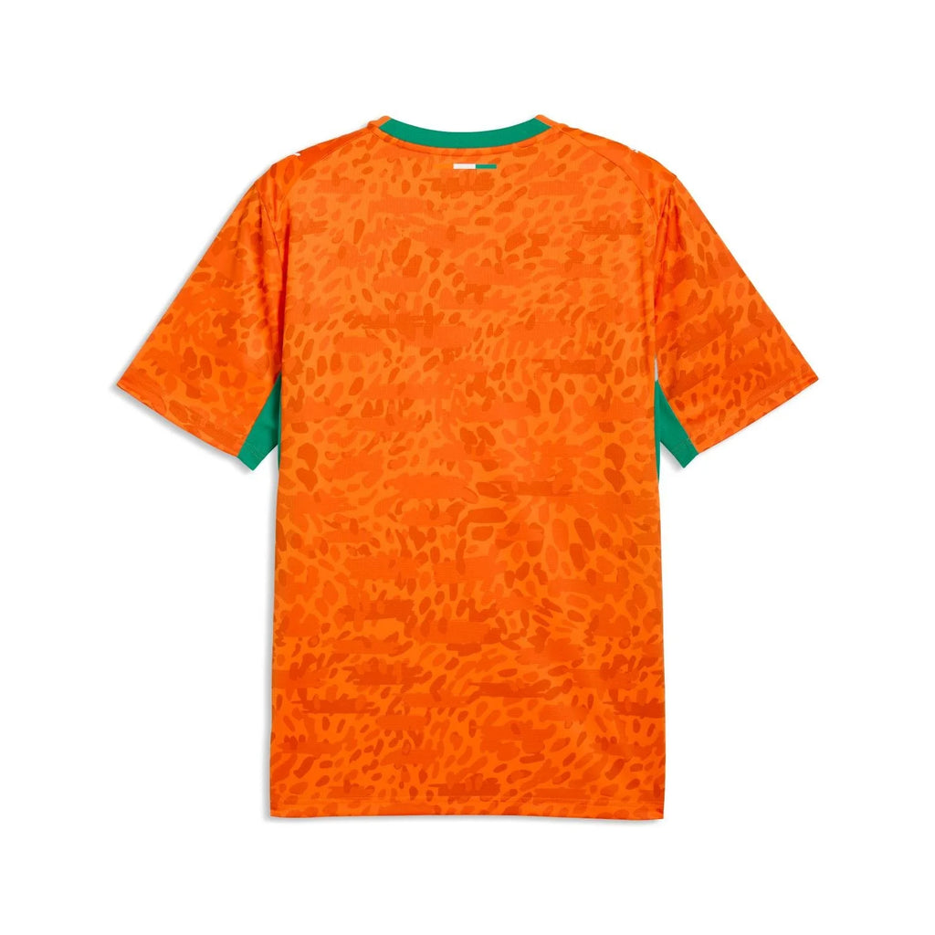 Camisa Costa do Marfim Home 2026 - Torcedor