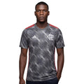 Camisa Flamengo Third 24/25 - Cinza - Torcedor